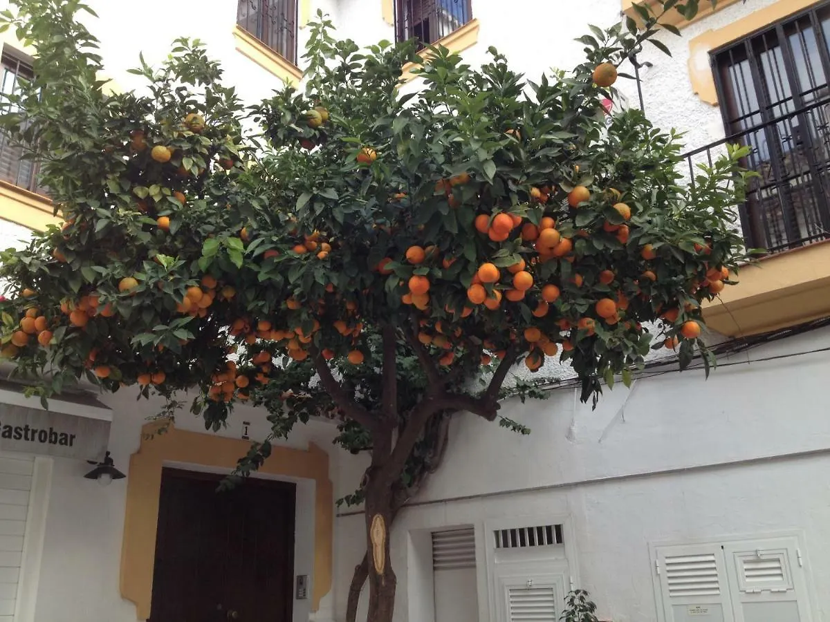 Casa La Naranja Marbella Apartment
